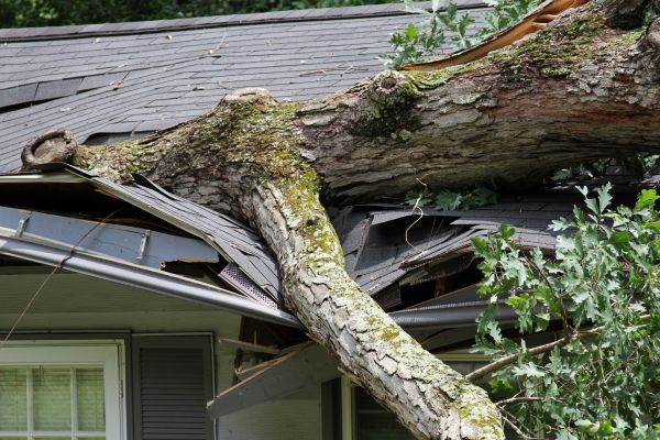 Storm Remediation in Rock Hill