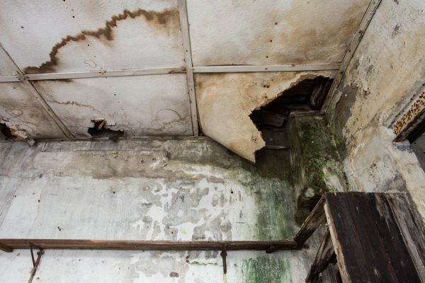 Water Damage Service in Rock Hill