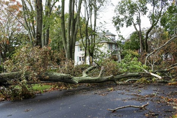Tornado Damage Repair in Rock Hill