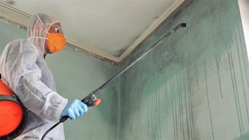 Mold Remediation Process
